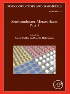 Hafermann / Walden |  Semiconductor Metasurfaces, Part 1 | eBook | Sack Fachmedien