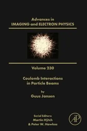 Jansen / Hÿtch |  Coulomb Interactions in Particle Beams | eBook | Sack Fachmedien