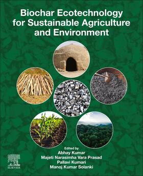 Kumar / Vara Prasad / Kumari |  Biochar Ecotechnology for Sustainable Agriculture and Environment | Buch |  Sack Fachmedien