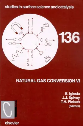 Fleisch / Iglesia / Spivey |  Natural Gas Conversion VI | Buch |  Sack Fachmedien