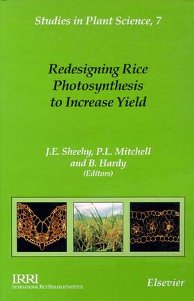 Mitchell / Hardy / Sheehy |  Redesigning Rice Photosynthesis to Increase Yield | Buch |  Sack Fachmedien