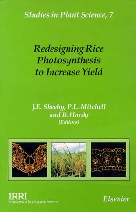 Mitchell / Hardy / Sheehy |  Redesigning Rice Photosynthesis to Increase Yield | Buch |  Sack Fachmedien