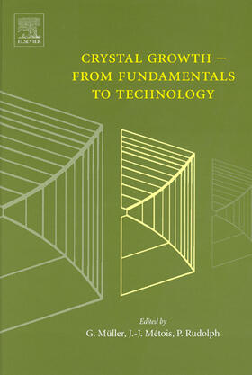 Müller / Métois / Rudolph |  Crystal Growth - From Fundamentals to Technology | Buch |  Sack Fachmedien