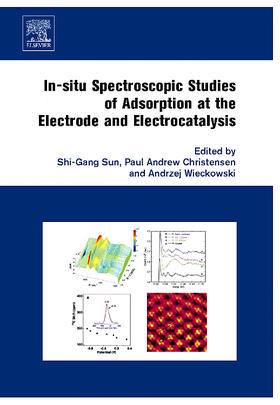 Sun / Christensen / Wieckowski |  In-Situ Spectroscopic Studies of Adsorption at the Electrode and Electrocatalysis | Buch |  Sack Fachmedien