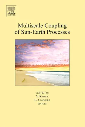 Lui / Kamide / Consolini |  Multiscale Coupling of Sun-Earth Processes | Buch |  Sack Fachmedien