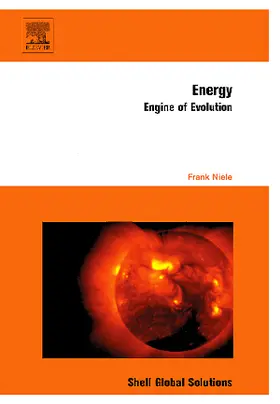 Niele |  Energy | Buch |  Sack Fachmedien