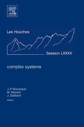  Complex Systems | Buch |  Sack Fachmedien