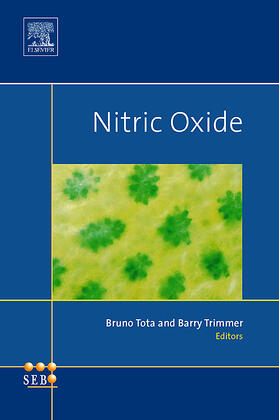  Nitric Oxide | Buch |  Sack Fachmedien