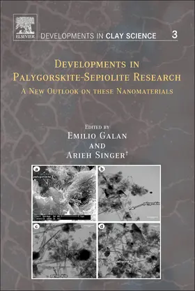  Developments in Palygorskite-Sepiolite Research | Buch |  Sack Fachmedien