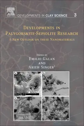 Singer / Galan | Developments in Palygorskite-Sepiolite Research | E-Book | sack.de