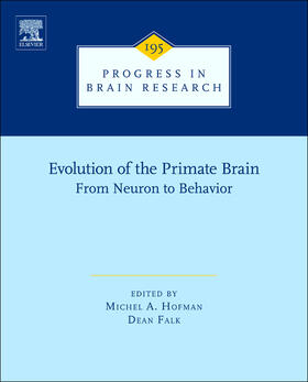  Evolution of the Primate Brain | Buch |  Sack Fachmedien