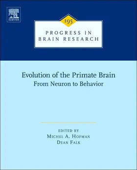 Falk |  Evolution of the Primate Brain | eBook | Sack Fachmedien