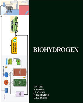 Pandey / Chang / Hallenbeck |  Biohydrogen | Buch |  Sack Fachmedien