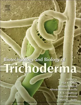 Gupta / Schmoll / Herrera-Estrella |  Biotechnology and Biology of Trichoderma | eBook | Sack Fachmedien