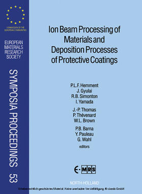 Hemment / Gyulai / Simonton |  Ion Beam Processing of Materials and Deposition Processes of Protective Coatings | eBook | Sack Fachmedien