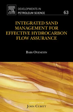 Oyeneyin |  Integrated Sand Management For Effective Hydrocarbon Flow Assurance | eBook | Sack Fachmedien