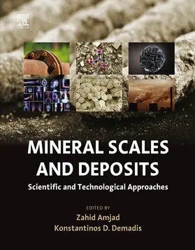 Amjad / Demadis |  Mineral Scales and Deposits | eBook | Sack Fachmedien