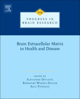  Brain Extracellular Matrix in Health and Disease | Buch |  Sack Fachmedien