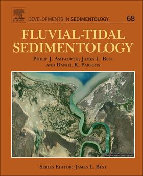 Ashworth |  Fluvial-Tidal Sedimentology | Buch |  Sack Fachmedien