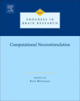  Computational Neurostimulation | Buch |  Sack Fachmedien