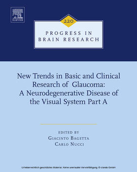 Bagetta / Nucci |  New Trends in Basic and Clinical Research of Glaucoma: A Neurodegenerative Disease of the Visual System Part A | eBook | Sack Fachmedien