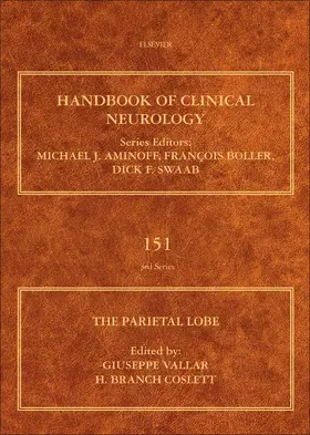  The Parietal Lobe | Buch |  Sack Fachmedien