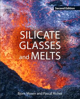 Mysen / Richet |  Silicate Glasses and Melts | Buch |  Sack Fachmedien