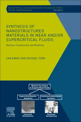 Erkey / Turk |  Synthesis of Nanostructured Materials in Near and/or Supercritical Fluids | Buch |  Sack Fachmedien