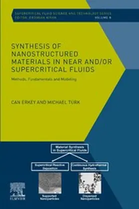 Erkey / Turk |  Synthesis of Nanostructured Materials in Near and/or Supercritical Fluids | eBook | Sack Fachmedien