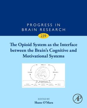  The Opioid System as the Interface between the Brain's Cognitive and Motivational Systems | Buch |  Sack Fachmedien
