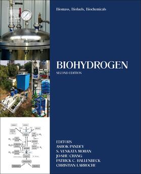 Pandey / Mohan / Chang |  Biomass, Biofuels, Biochemicals | Buch |  Sack Fachmedien