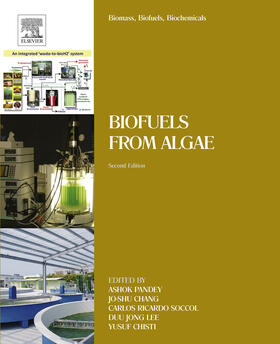 Pandey / Lee / Chang |  Biomass, Biofuels, Biochemicals | eBook | Sack Fachmedien