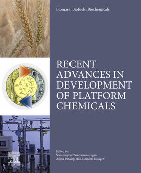 S. / Li / Riisager |  Biomass, Biofuels, Biochemicals | eBook | Sack Fachmedien