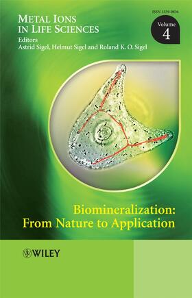 Sigel |  Biomineralization | Buch |  Sack Fachmedien