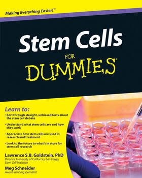 Goldstein / Schneider |  Stem Cells For Dummies | Buch |  Sack Fachmedien