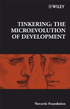 Bock / Goode |  Tinkering | eBook | Sack Fachmedien