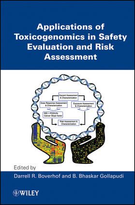 Boverhof / Gollapudi |  Applications of Toxicogenomics in Safety Evaluation and Risk Assessment | Buch |  Sack Fachmedien