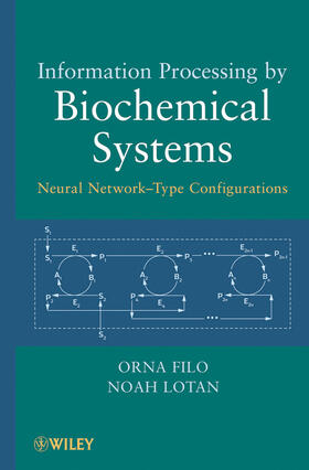 Filo / Lotan |  Information Processing | Buch |  Sack Fachmedien