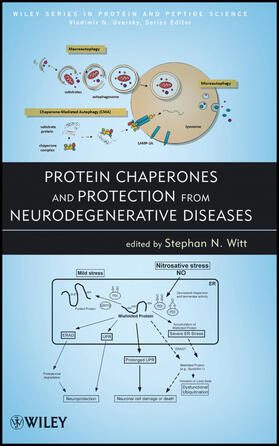Witt / Uversky |  Protein Chaperones and Protection from Neurodegenerative Diseases | Buch |  Sack Fachmedien