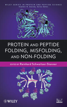 Schweitzer-Stenner / Uversky |  Protein and Peptide Folding, Misfolding, and Non-Folding | Buch |  Sack Fachmedien