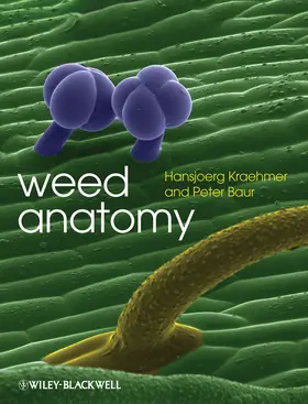 Kraehmer / Baur |  Weed Anatomy | Buch |  Sack Fachmedien