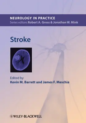 Barrett / Meschia |  Stroke | Buch |  Sack Fachmedien