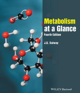 Salway |  Metabolism at a Glance | Buch |  Sack Fachmedien