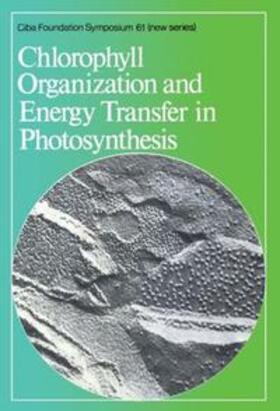 Wolstenholme / FitzSimons |  Chlorophyll Organization and Energy Transfer in Photosynthesis | eBook | Sack Fachmedien