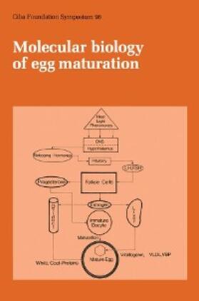 Porter / Whelan |  Molecular Biology of Egg Maturation | eBook | Sack Fachmedien