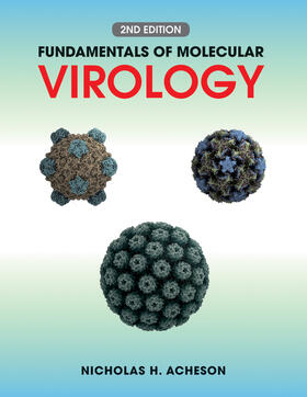 Acheson |  Fundamentals of Molecular Virology | Buch |  Sack Fachmedien