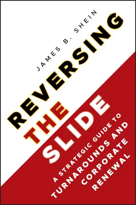 Shein |  Reversing the Slide | Buch |  Sack Fachmedien