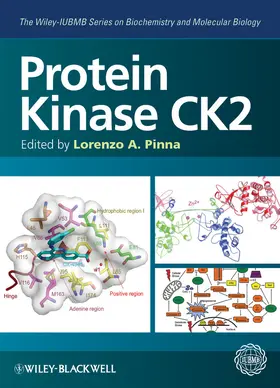 Pinna |  Protein Kinase Ck2 | Buch |  Sack Fachmedien