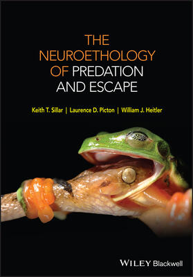 Sillar / Picton / Heitler |  The Neuroethology of Predation and Escape | Buch |  Sack Fachmedien