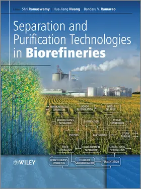 Ramaswamy / Huang / Ramarao |  Separation and Purification Technologies in Biorefineries | Buch |  Sack Fachmedien